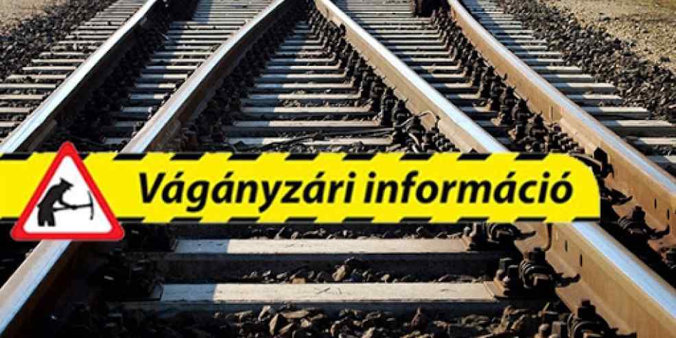 Vaganyzar