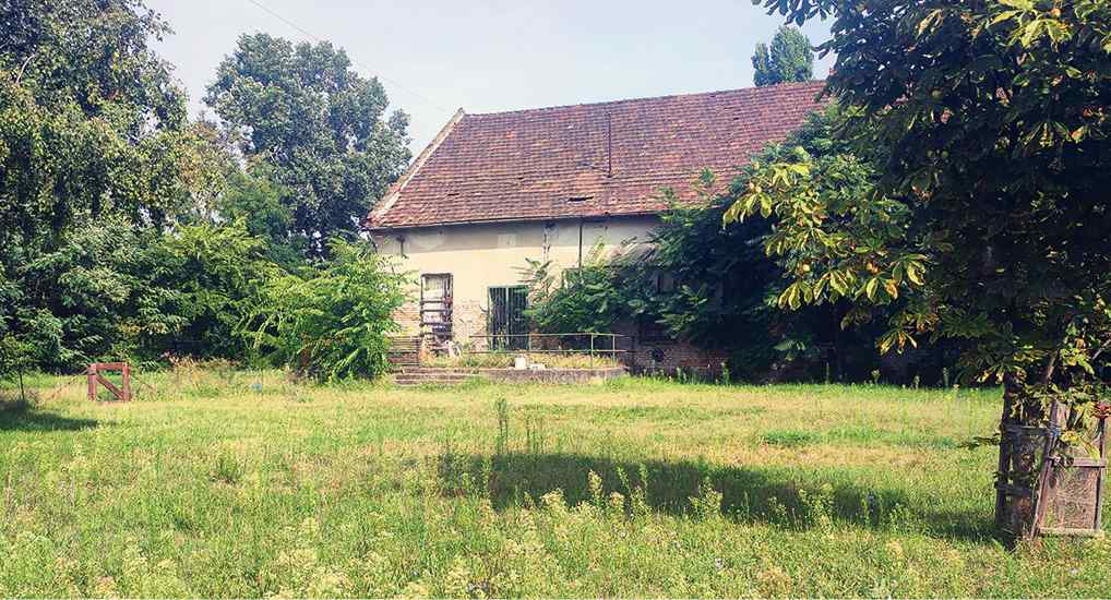 Jaro
