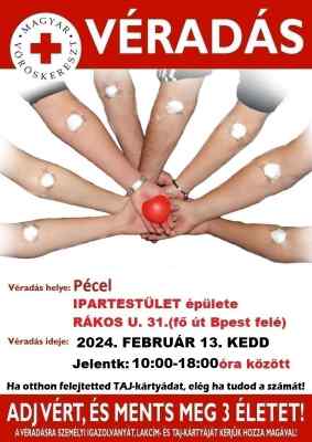 Pecel Plakat 2024 Februar