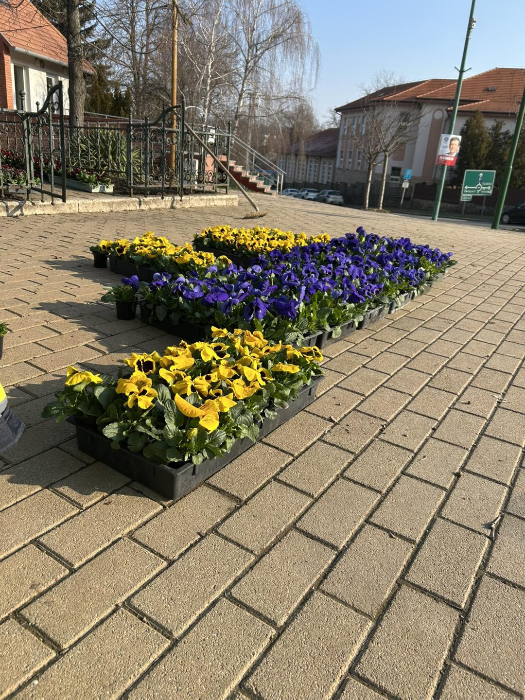 646086802 1249533987285170 7077490218402237101 n