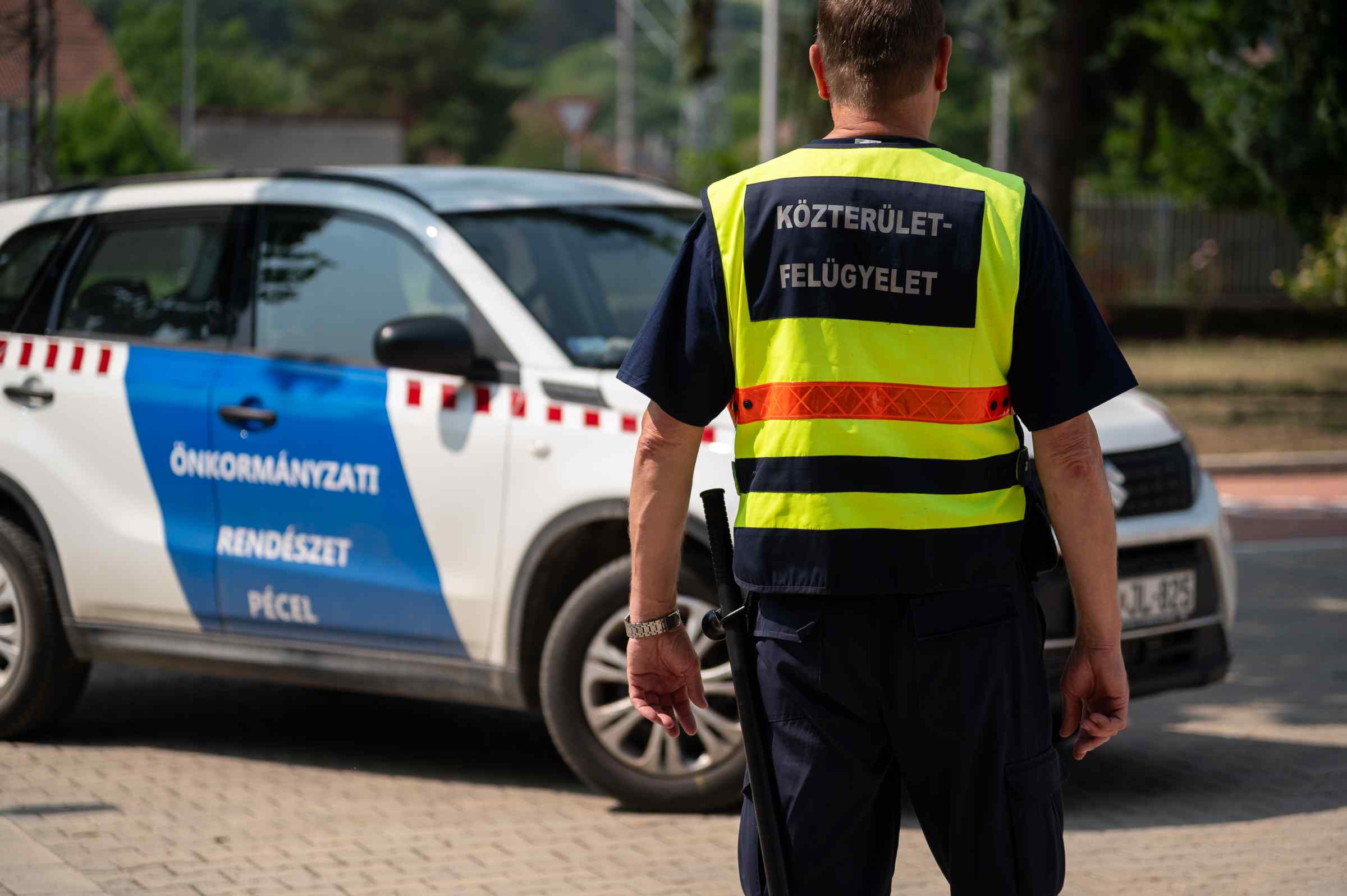 rendészet