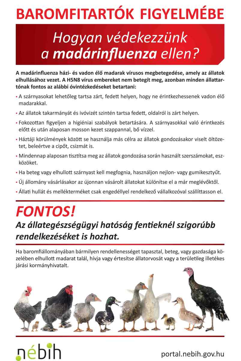 Hogyanvdekezznkamadrinfluenzaellen